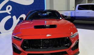 Расцветка 2024 Ford Mustang GT,  аукцион с участием 1998 Ford Mustang SVT Cobra