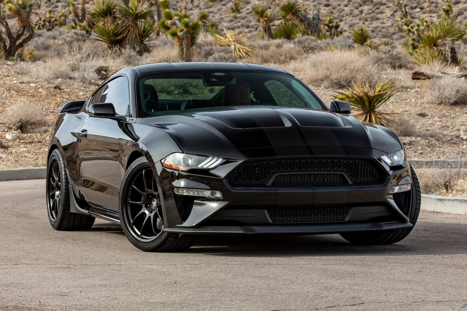 Mustang Shelby 2022