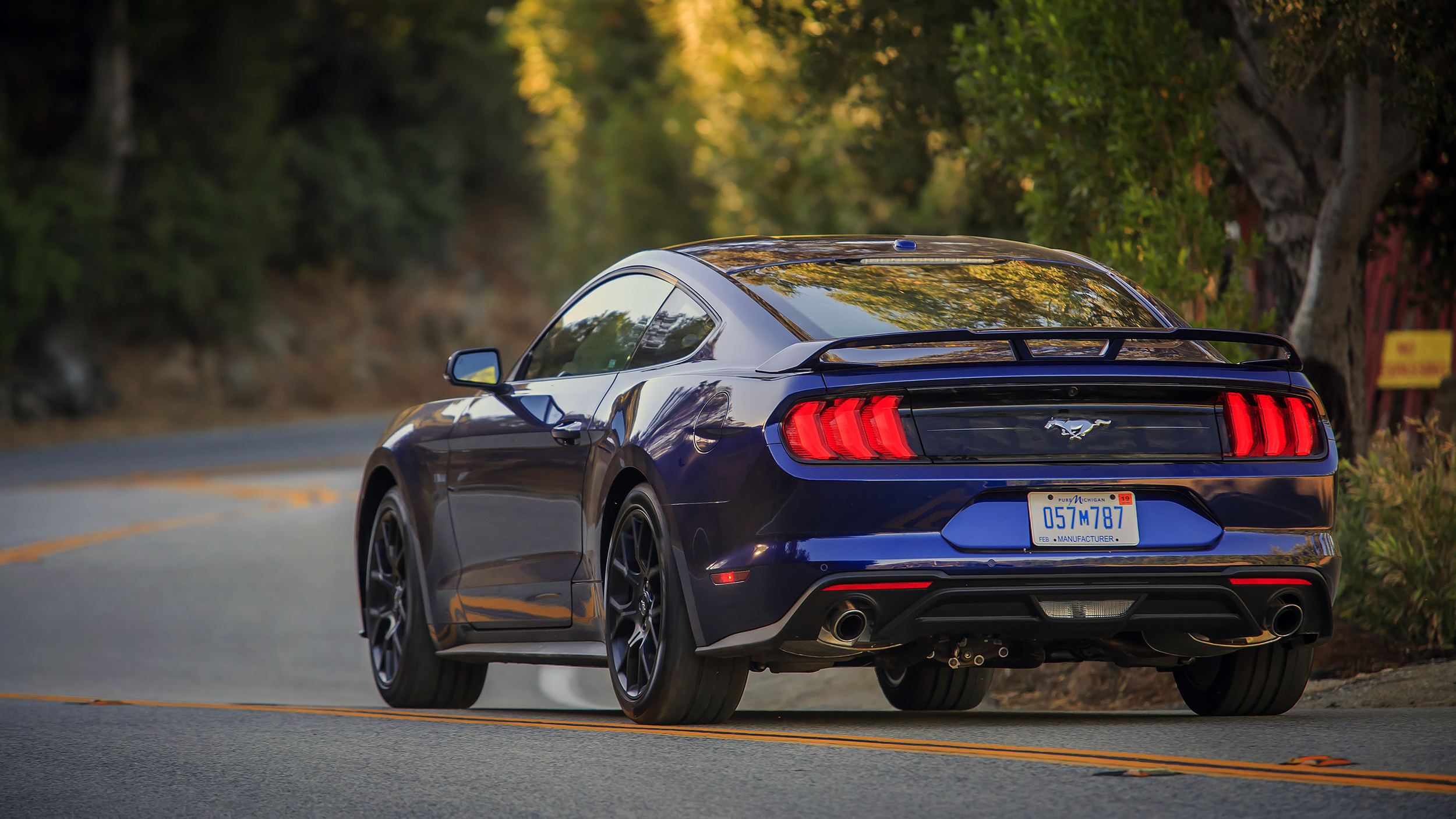 Ford Mustang gt сзади