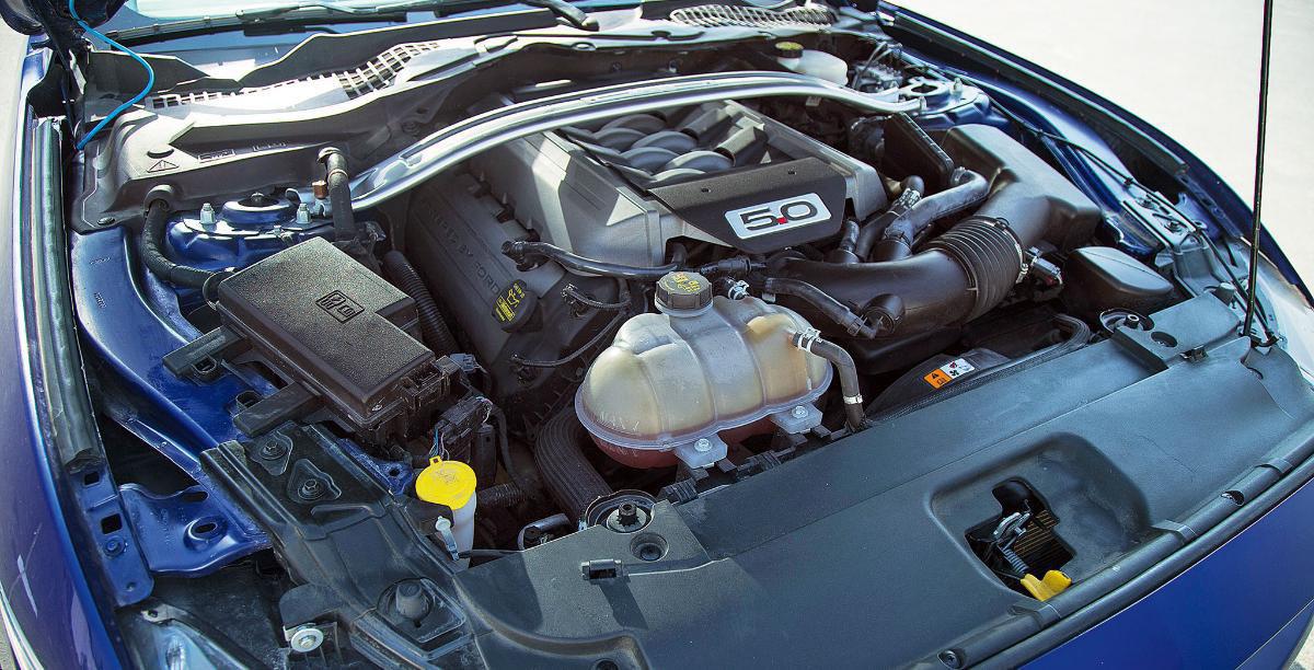 FORD представляет специальную версию MUSTANG 55 фото 1 - превью