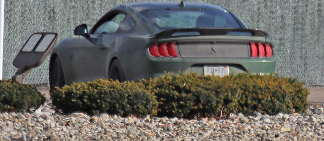 Ford Mustang Shelby GT500 2022 года в новом цвете фото 1 - превью